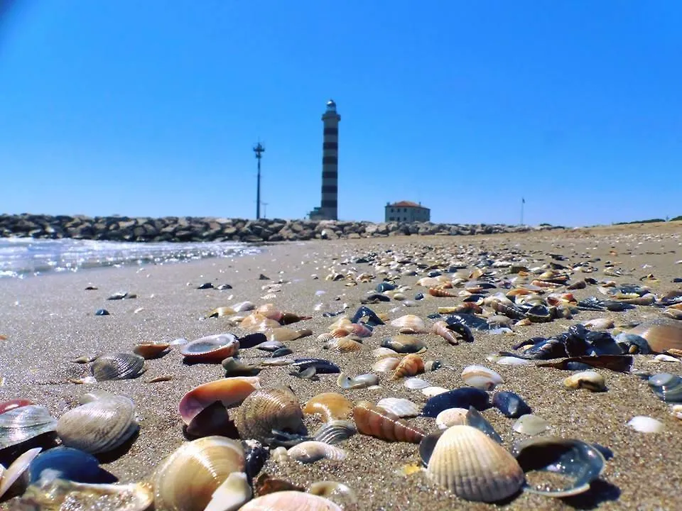Sea Beach Apartment Lido di Jesolo Italia